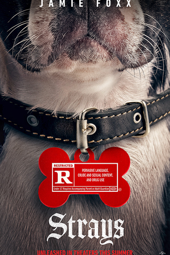  de Filme Ruim Pra Cachorro (2023)