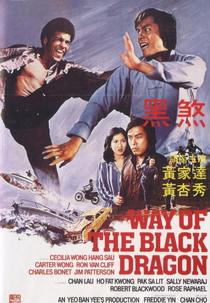 Way of the Black Dragon (Way of the Black Dragon)