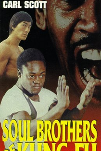 Os Desafios de Bruce Lee - Poster / Capa / Cartaz - Oficial 3