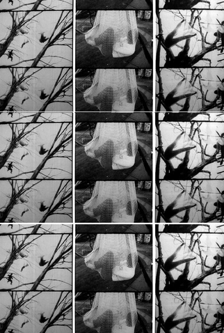 Poster 1 de Curta Tree Dance (1971)