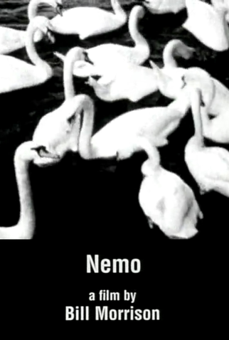Poster 1 de Curta Nemo (1995)