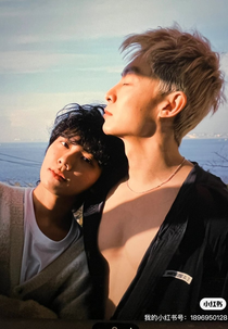 Infidelity, It's a Disease (花心，是一种病)