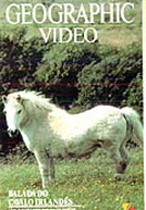 National Geographic Video - Balada do Cavalo Irlandês (The Ballad of the Irish Horse)