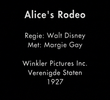 Alice at the Rodeo