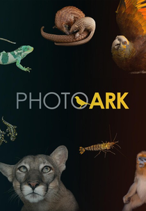 A Arca: Espécies em Perigo (Photo Ark: Season 2)