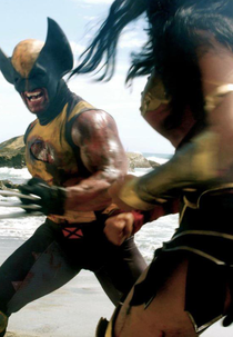 Mulher Maravilha vs Wolverine (Wonder Woman vs Wolverine)