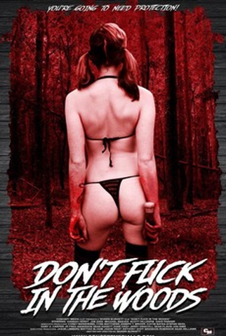 Poster 1 de Filme Don't Fuck in the Woods (2016)