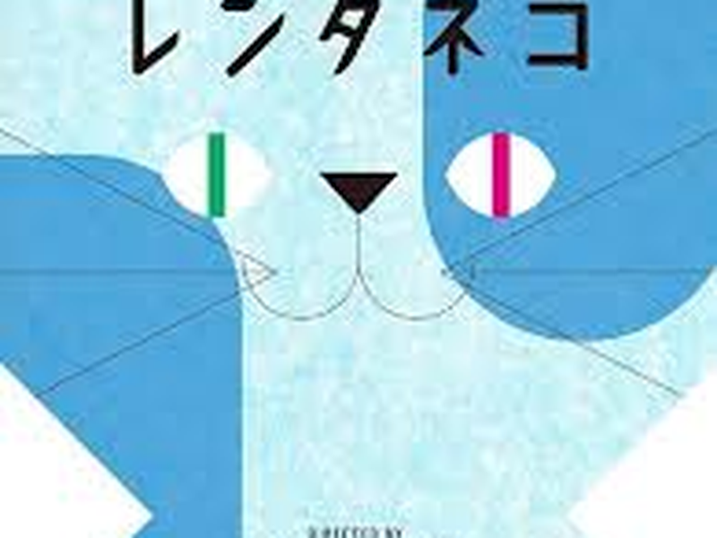 Foto 1 de Rent-a-Cat