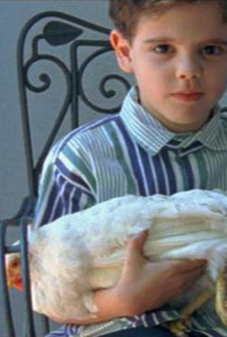 Poster 1 de Curta Galinha ao Molho Pardo (2007)