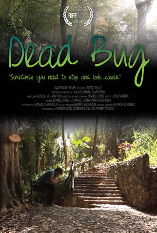 Poster 1 de Curta Dead Bug (2013)