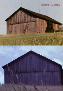 Barn Rushes (Barn Rushes)