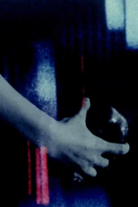 Echoed Silence (Echoed Silence)