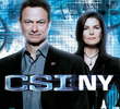 CSI: Nova Iorque (8ª Temporada)