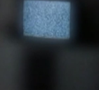 Cell