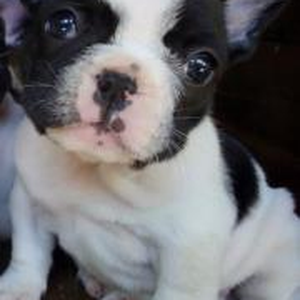 Foto de perfil de Fatima