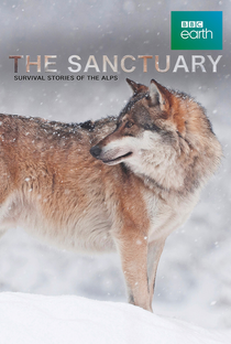 The Sanctuary: Survival Stories of the Alps - Poster / Capa / Cartaz - Oficial 1