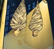Two Men and a Spider Web