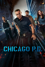 Chicago P.D.: Distrito 21 (12ª Temporada) (Chicago P.D. (Season 12))