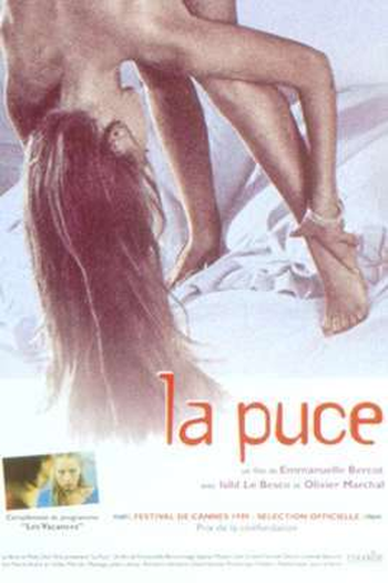 Poster de Curta La Puce (1999)