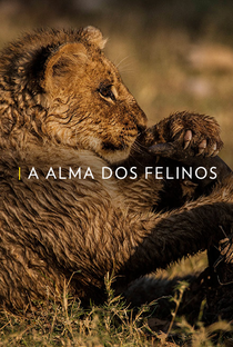 A Alma dos Felinos - Poster / Capa / Cartaz - Oficial 1