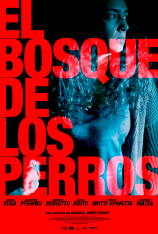 Poster 1 de Filme A Floresta dos Cães (2019)