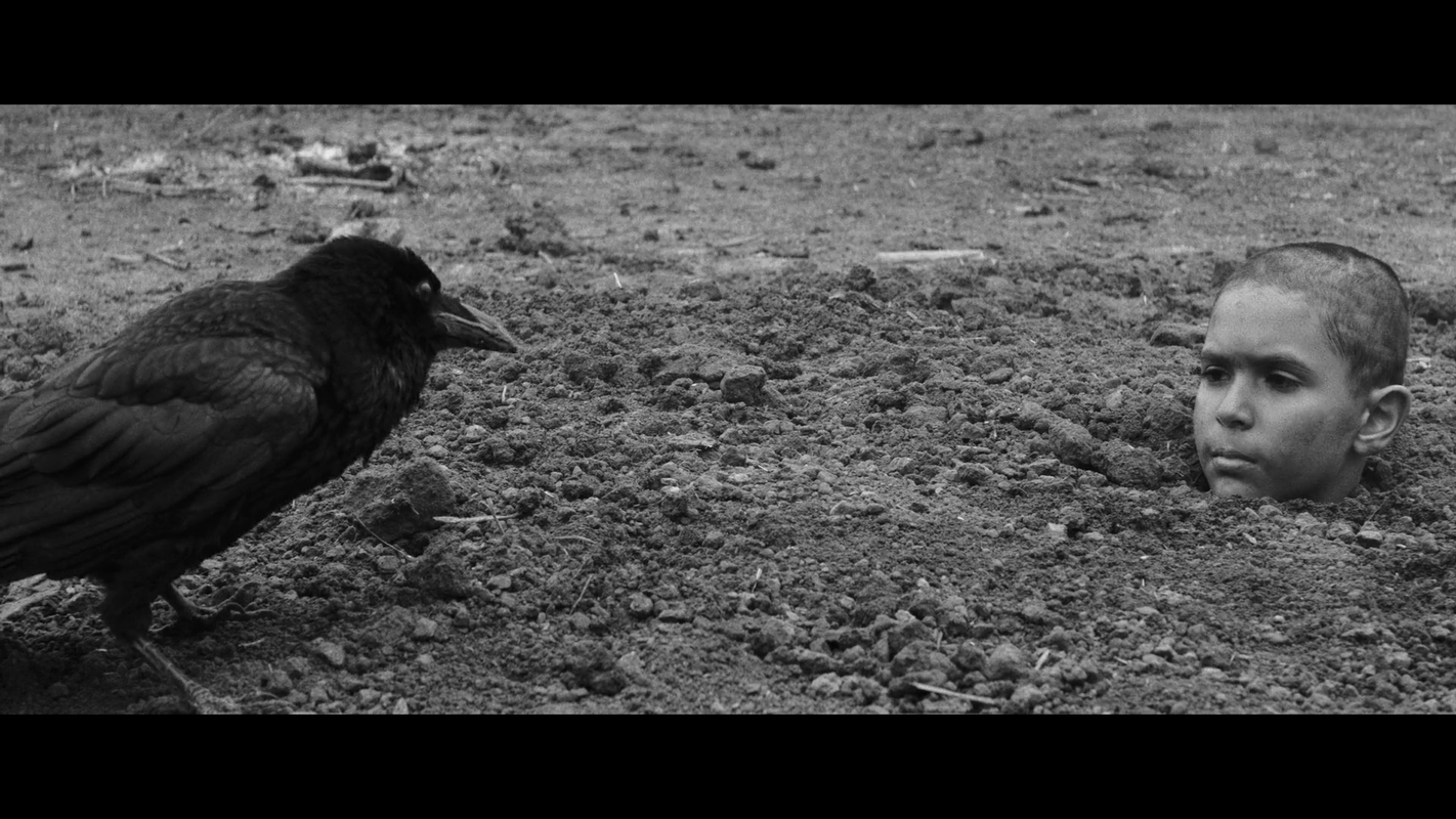 Rodrigo Kurita - Foto 1