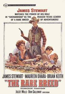 Raça Brava (The Rare Breed)