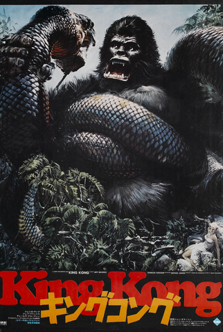 Poster 10 de Filme King Kong (1976)