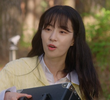 20회
