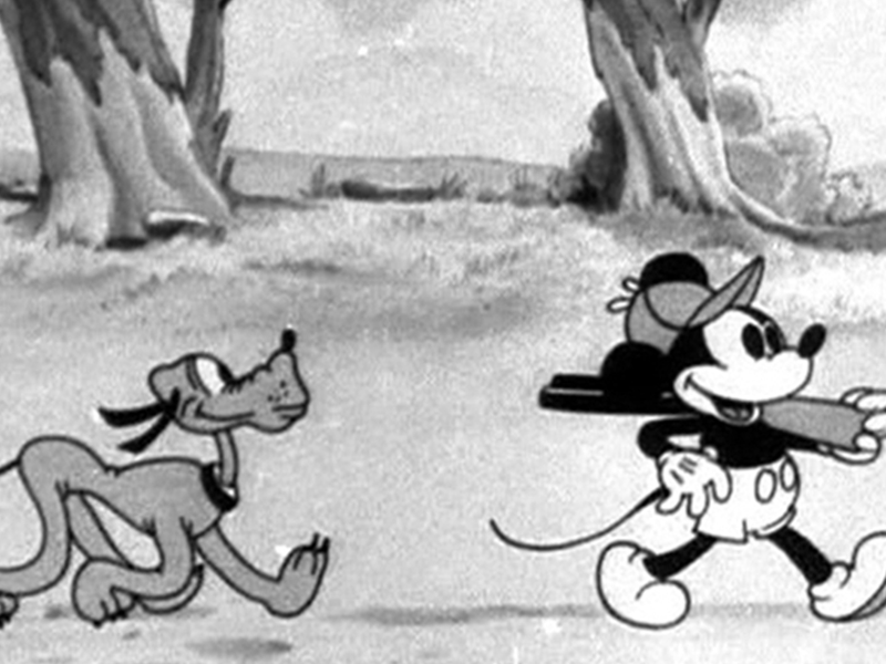 Foto 1 de The Duck Hunt