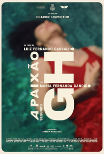 A Paixão Segundo G.H. - Poster / Capa / Cartaz - Oficial 3