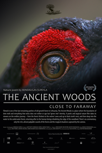 Poster de Filme The Ancient Woods (2017)