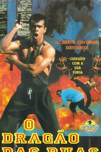 Poster de Filme O Dragão das Ruas (1995)