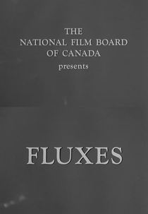 Fluxes (Fluxes)