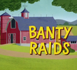 Banty Raids