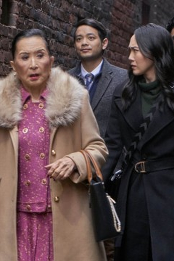 Poster de Episódio The Lin Family (2024)