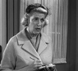 Crime-Free Mayberry
