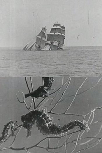  de Curta Jack's Dream (1938)