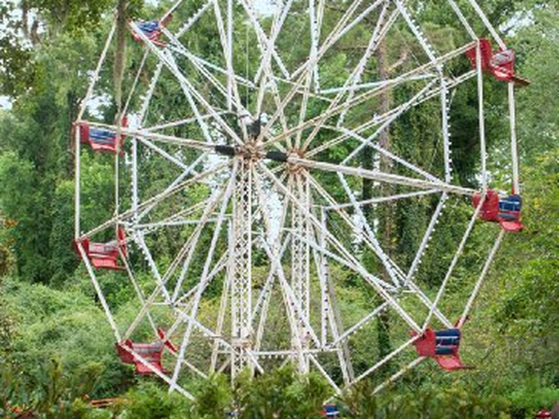 Foto 3 de Natal em Conway