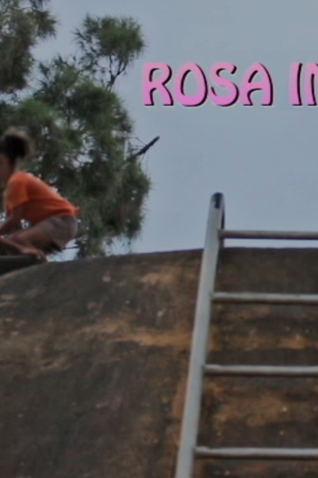  de Curta Rosa Importa (2017)