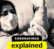 Explicando... O Coronavírus