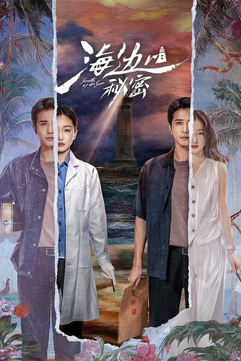 Poster de Franquia 海边的秘密 (2025)