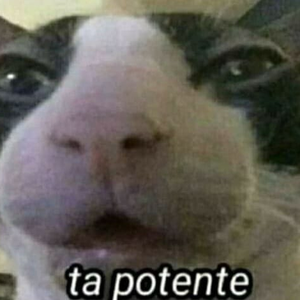 Foto de perfil de xd