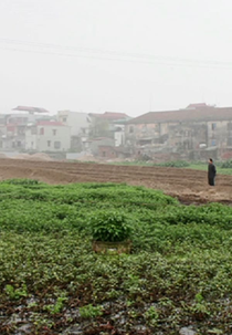 Landscape Series #1 (Landscape Series #1)