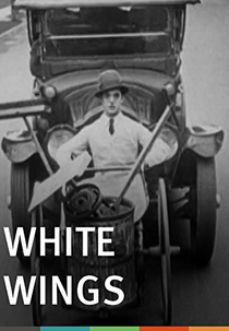 White wings (White wings)