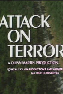 Ataque ao Terror - Poster / Capa / Cartaz - Oficial 1