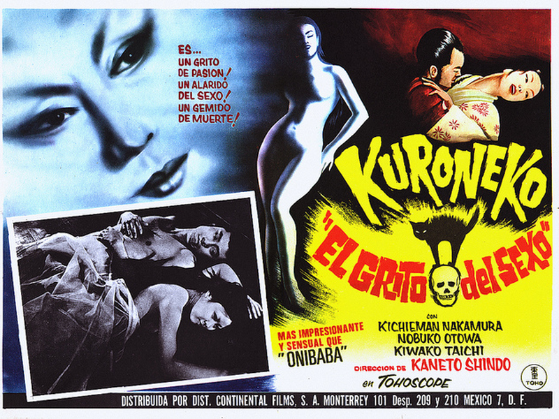 Foto 11 de O Gato Preto