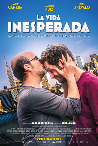 Poster 1 de Filme La vida inesperada (2013)