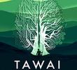 Tawai: A voice from the forest