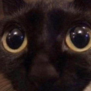 Foto de perfil de Clyper